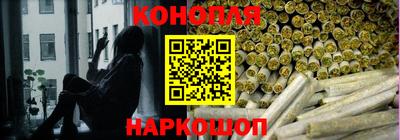 spice Моздок