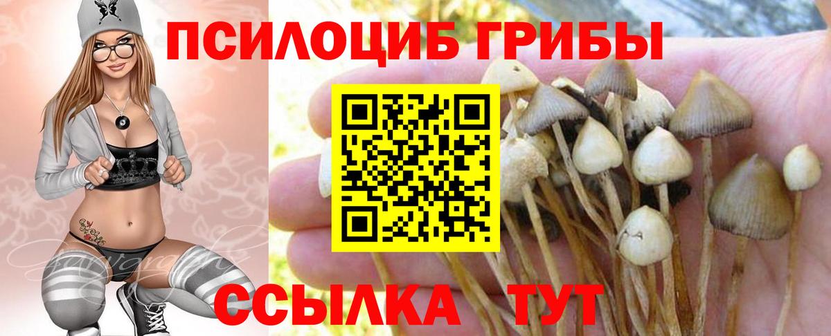 Галлюциногенные грибы Psilocybe  Вход с VPN  Горячий Ключ  Псилоцибиновые грибы мицелий 